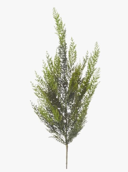 The Refined Dwelling 34" Cedar Pick | Amazon (US)