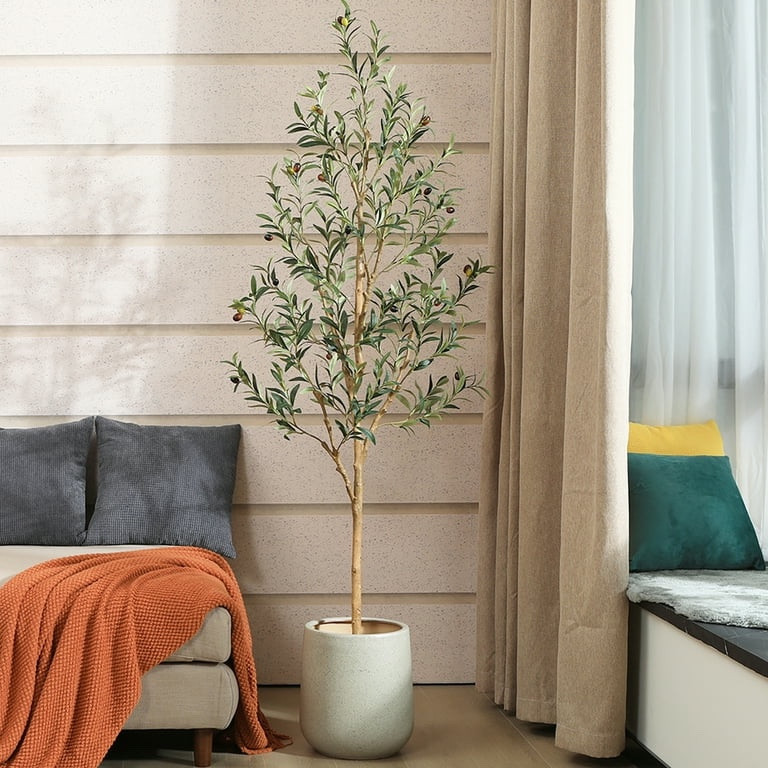 ✨ Flash Deal ✨

Olive Tree on sale $33, HALF OFF

Realistic design Olive tree from Walmart  

#LTKU #LTKSaleAlert #LTKHome