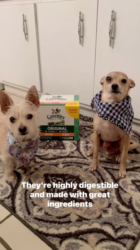 Greenies dental treats for dogs 36% off on Black Friday Deal. I’m stocking up for the kids! - Amazon deals - Amazon Pets - Black Friday sales 

#LTKCyberweek #LTKsalealert #LTKHoliday