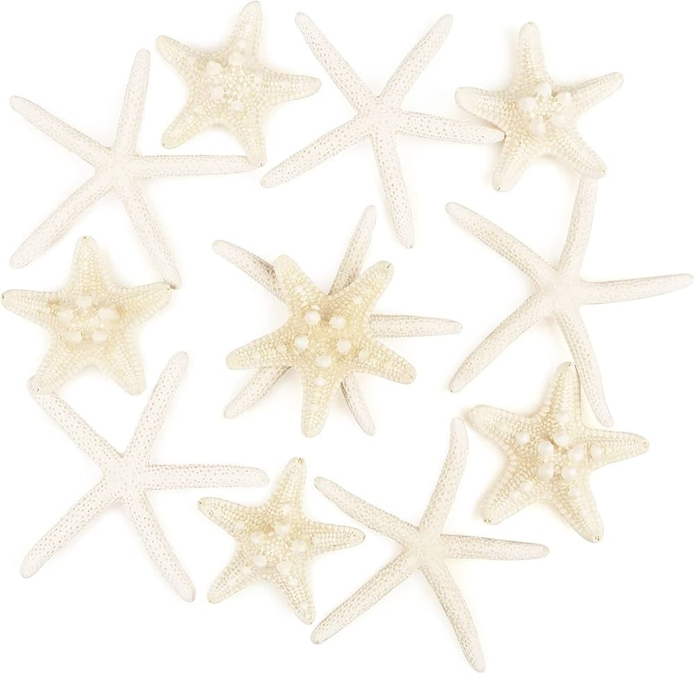 12 PCS Starfish 2-6 Inch Mixed Starfish Natural Seashells Starfish Star Fish Shells Decorations P... | Amazon (US)