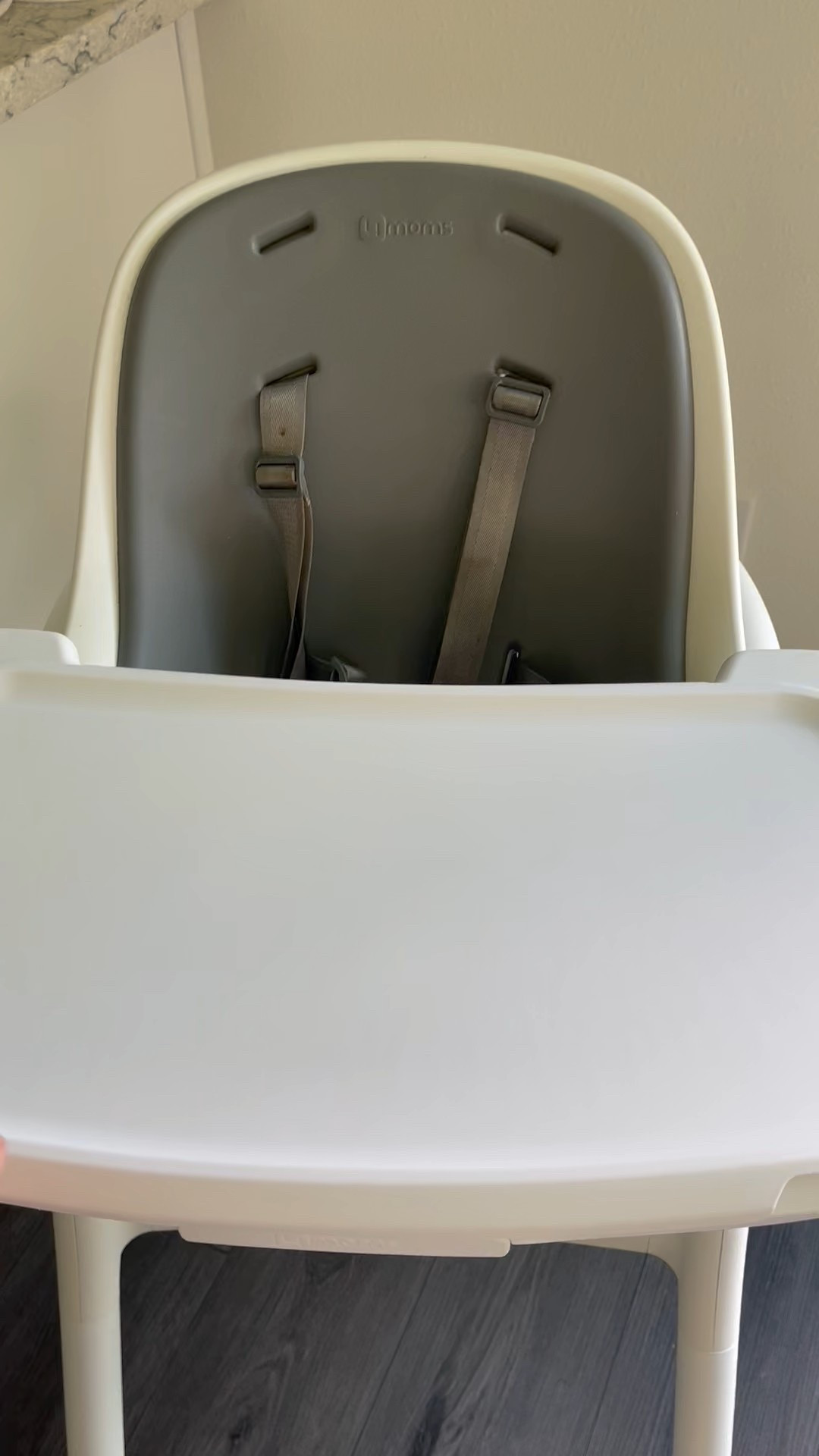 This high chair has truly been one of my favorite mom finds. I love that there’s no cushion to deal with—just a smooth surface that wipes clean so easily. Plus, the straps come off for washing, which is a total game-changer for messy meals. Practical, easy, and mom-approved!


#LTKbaby #LTKhome #LTKmom #highchairreview #babymealtime #momapproved #babygear #babyfeeding #babyproducts #ltkmusthaves #momlife #ltkpicks #ltklinkinbio

#LTKFamily #LTKKids #LTKBaby