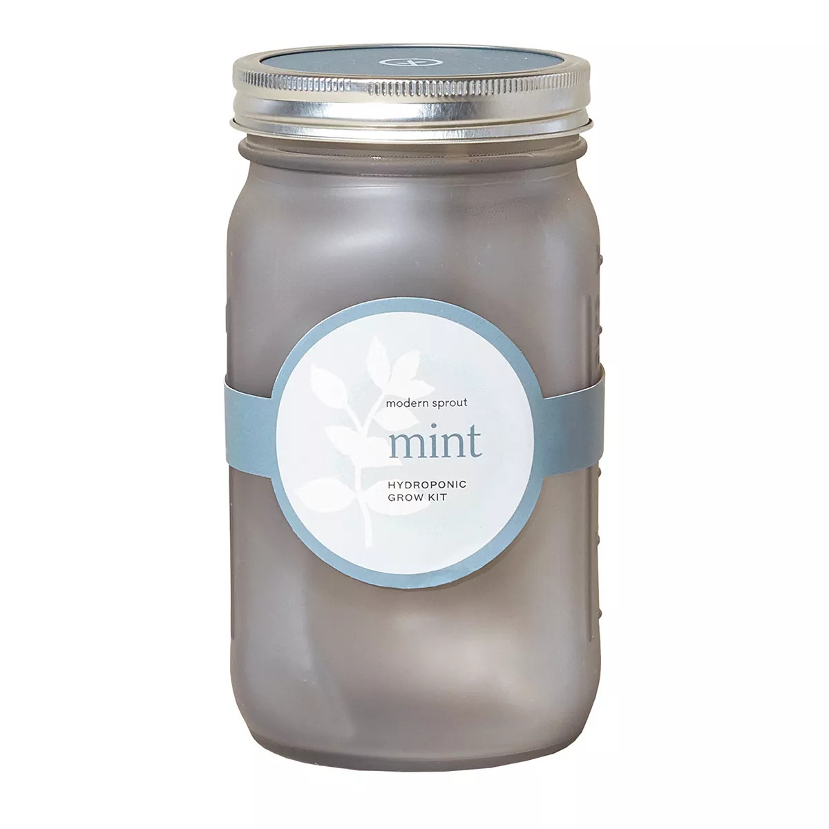 Modern Sprout Garden Jar - Mint | Kohl's
