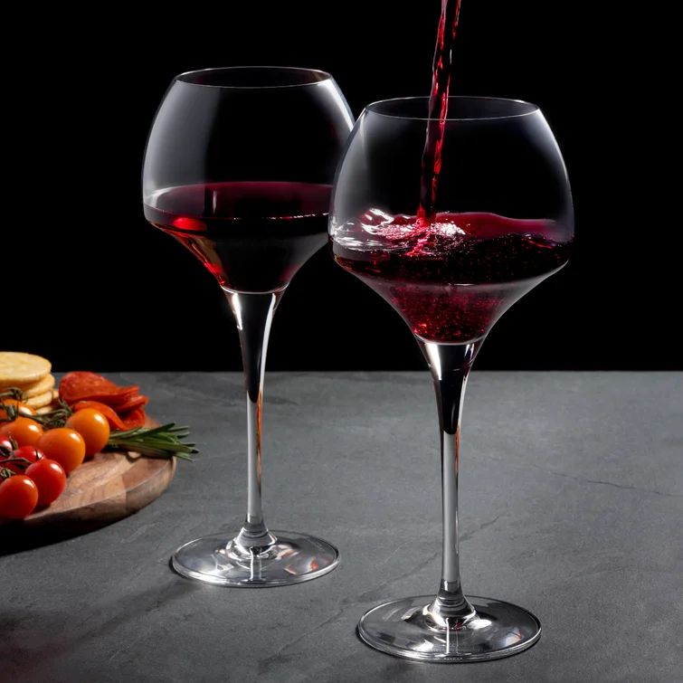 Chef & Sommelier Open Up Tannic Crystal Red Wine Glass (Set of 6) | Wayfair North America