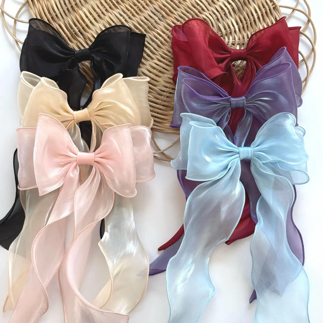 Oversized Sheer Organza Hair Bow Clip, Long Tail Ribbon, Bridal Elegant Barrette | Etsy (Global)