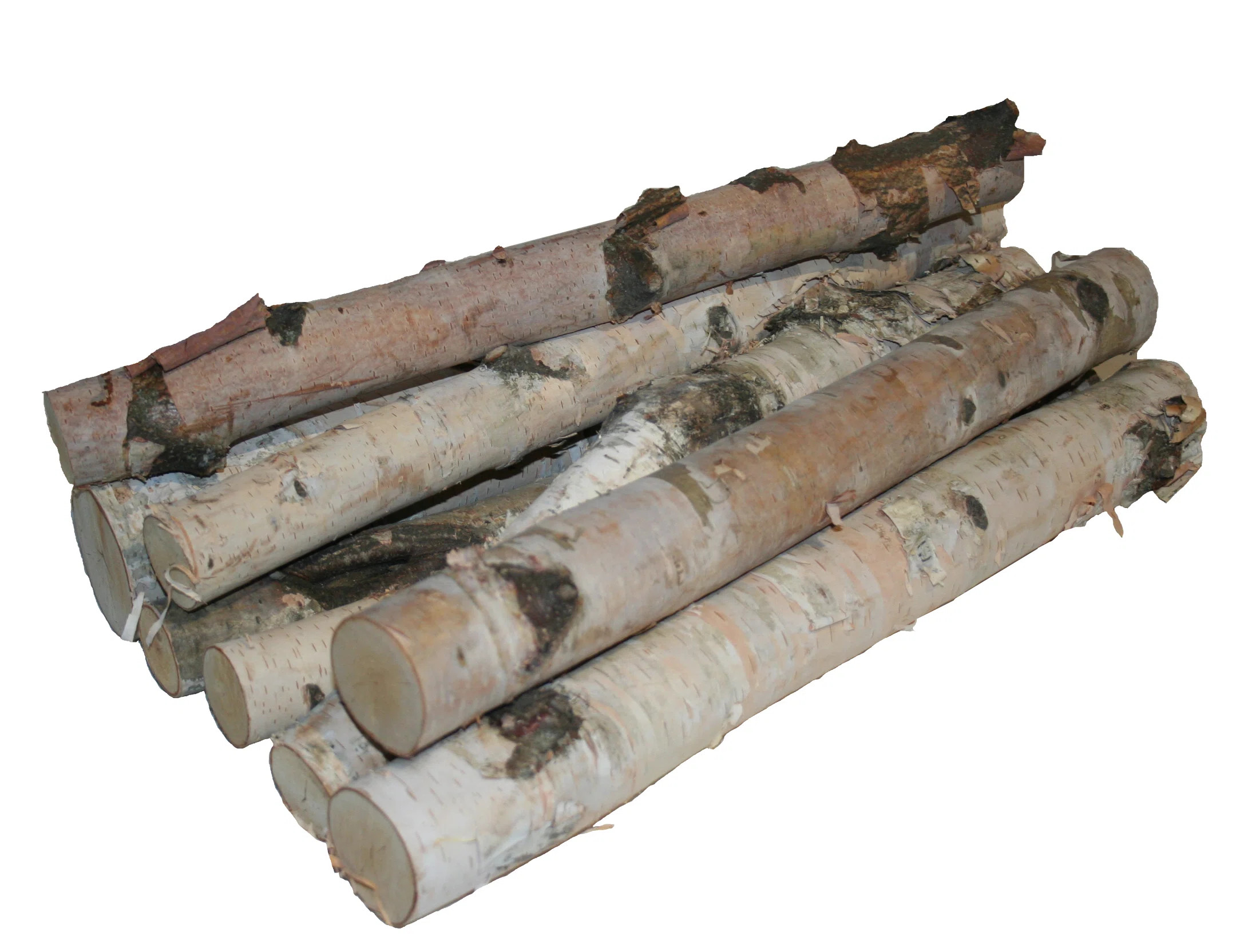 Wilson Decorative White Birch Log Bundle, Natural Bark Wood Home Décor | Wayfair North America