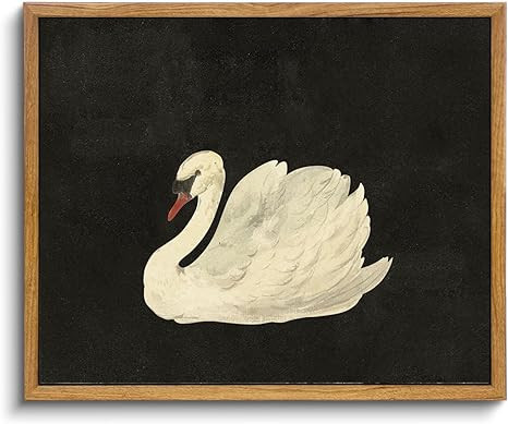 KBKBART Framed Canvas Wall Art for Living Room Bedroom Decor, Vintage Antique Swan Watercolor Can... | Amazon (US)