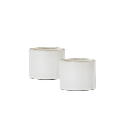 Ebern Designs White Glazed Ceramic Flower Pot With Gold Rim - Modern Minimalist Planter For Home Decor, Weddings, And Office Organization, Measures 4 | Wayfair Professional