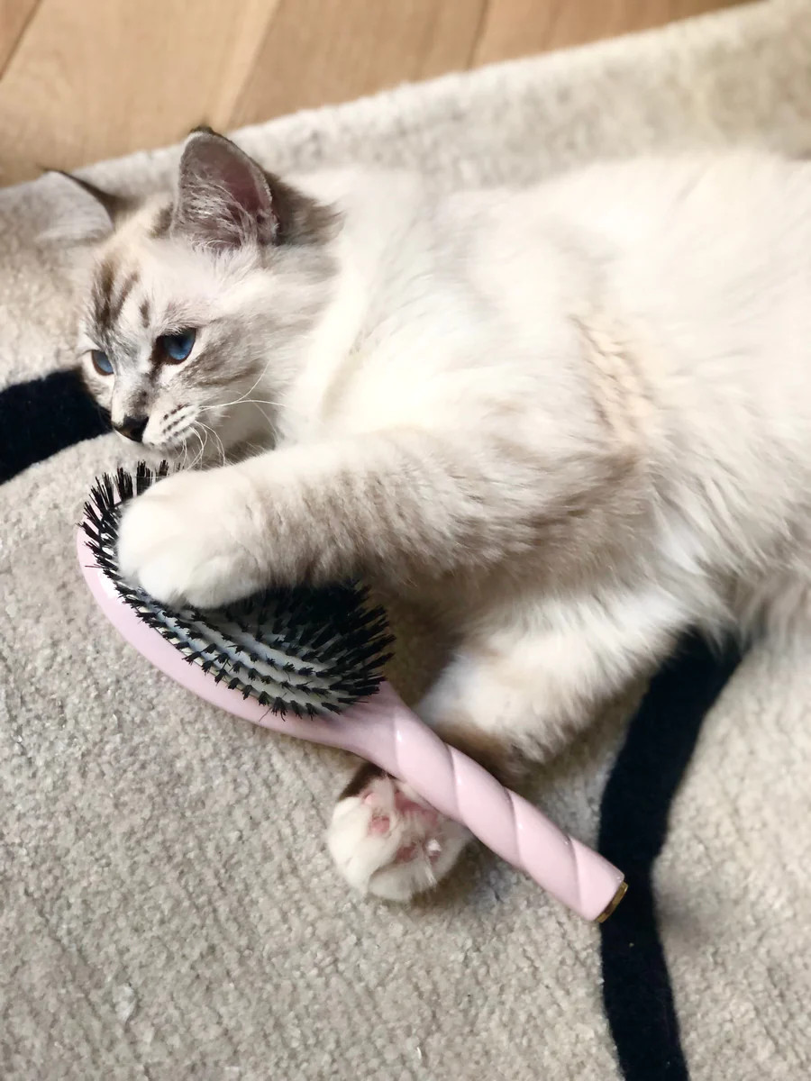 Pink Universal Boar Bristle Hair Brush | La Bonne Brosse UK