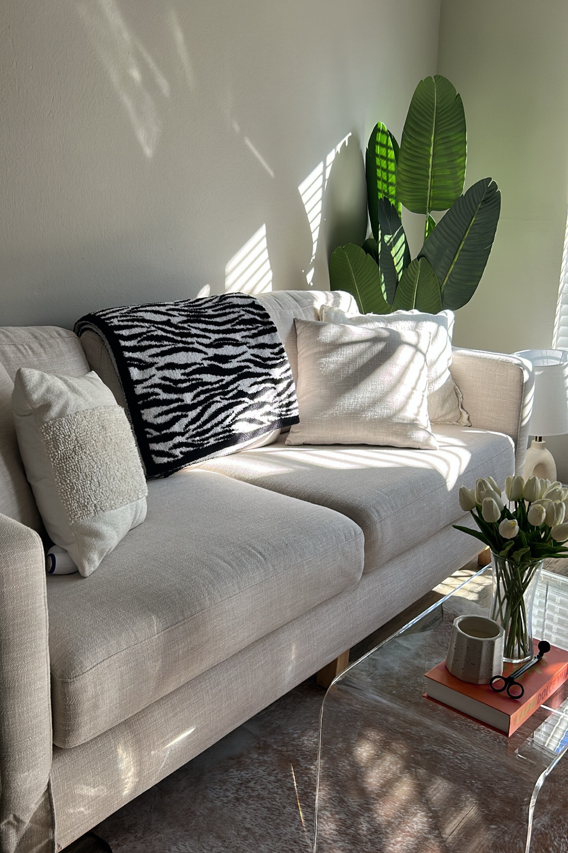 Living room is coming along #neutralcouch #livingroomdecor #acryliccoffeetable #coffeetabledecor

#LTKFind #LTKhome #LTKunder100