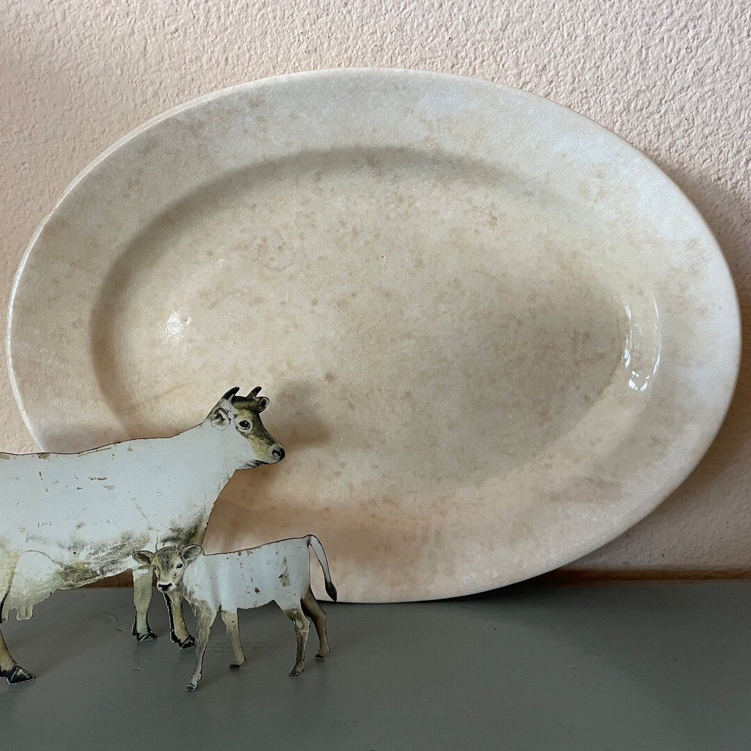 Vintage Ironstone Oval Platter - El Capitan Semi-Porcelain Platter - Farmhouse Decor | Etsy (US)