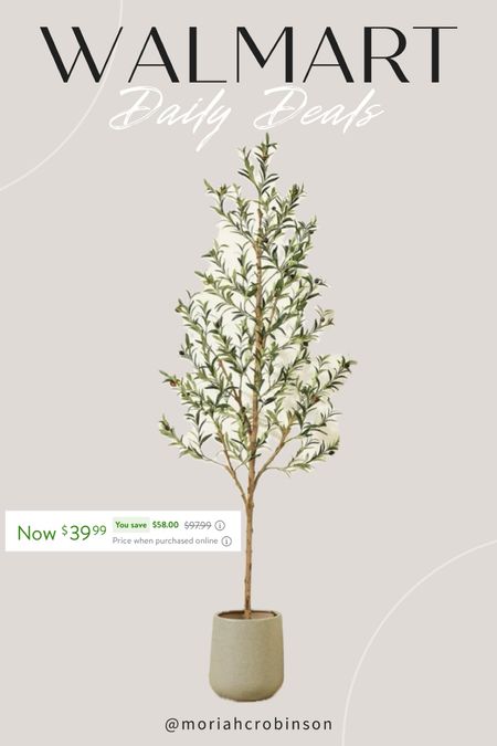 Walmart  daily deal- $58 off this olive tree!

Home, interior design, olive tree, Walmart home

#LTKsalealert #LTKhome #LTKfindsunder50