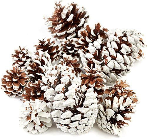 Factory Direct Craft Christmas Holiday Snow Tipped Natural Pine Cones (Half Pound Bag) | Amazon (US)