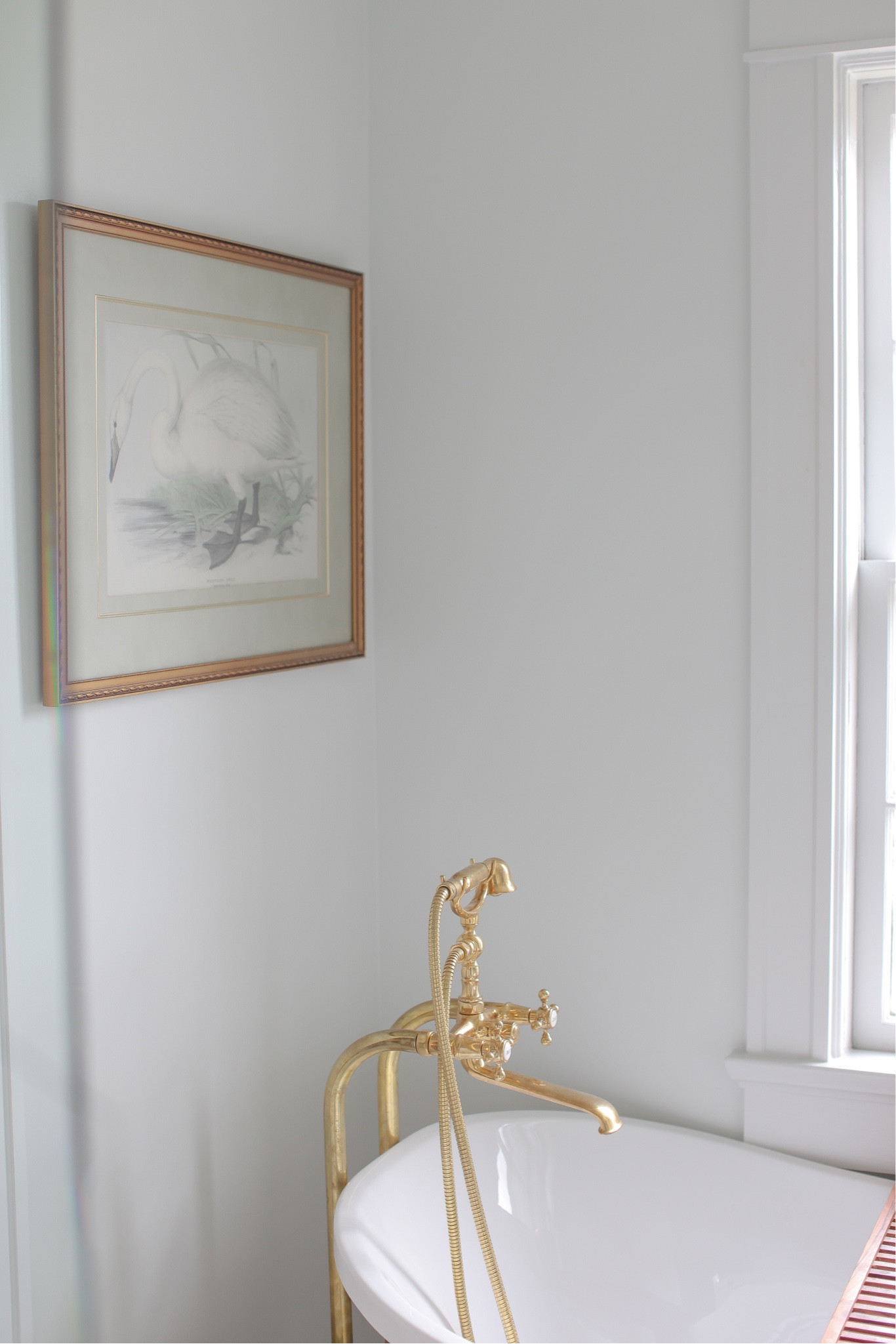 #LTKhome #LTKstyletip #LTKFind