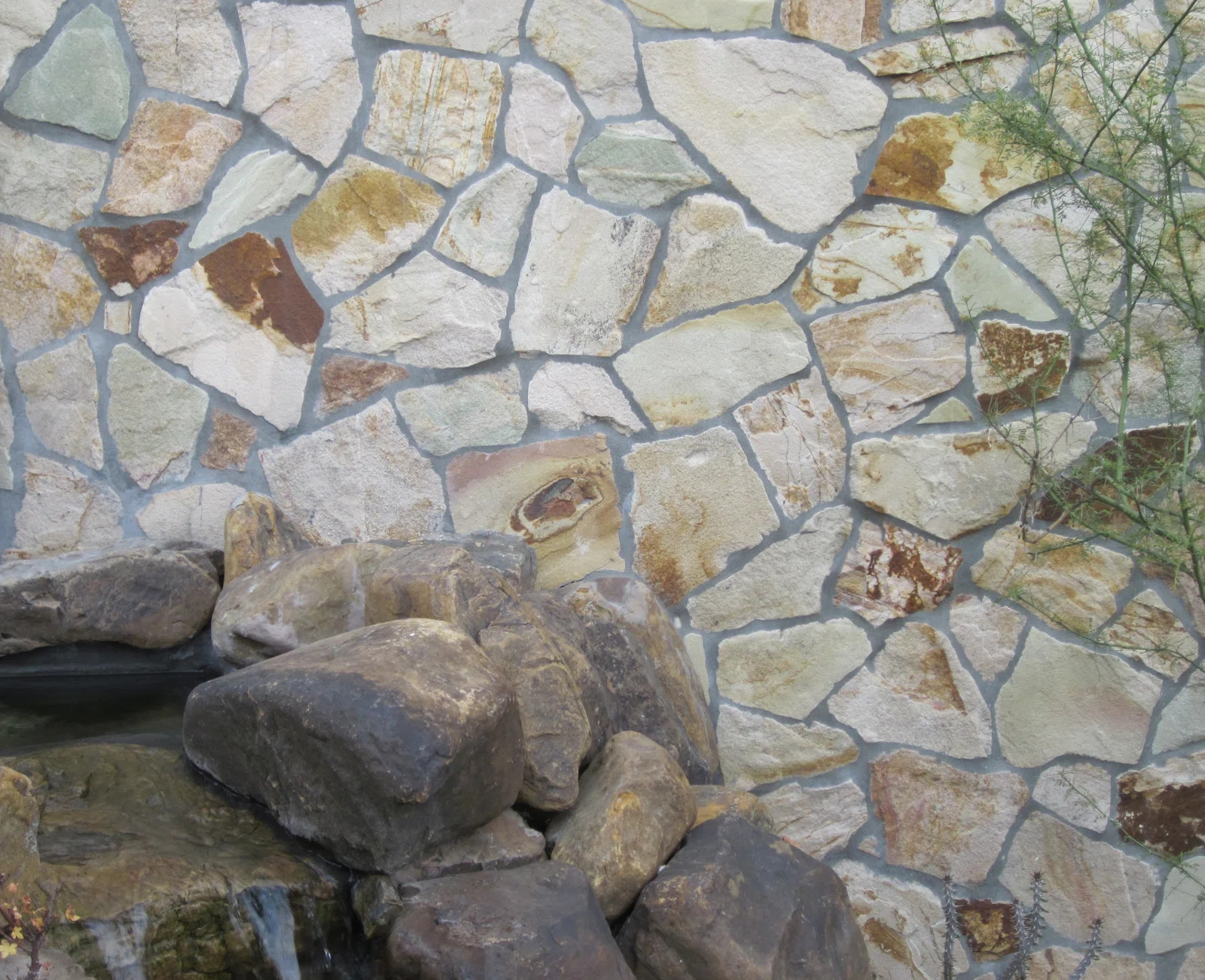 California Gold Slate Paving Stone | Wayfair North America