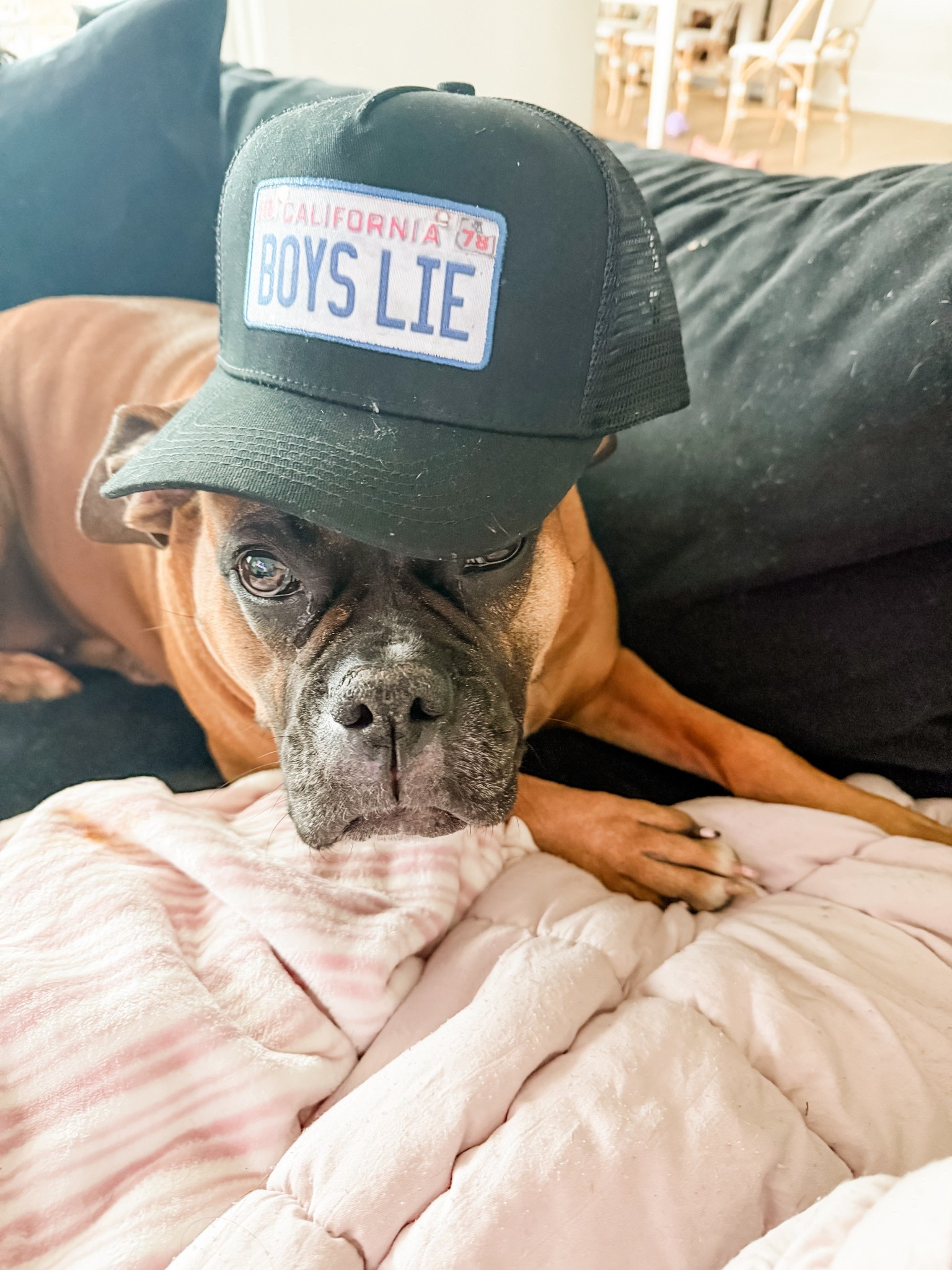 Boys lie hat

#LTKOver40 #LTKmomlife #LTKValentine