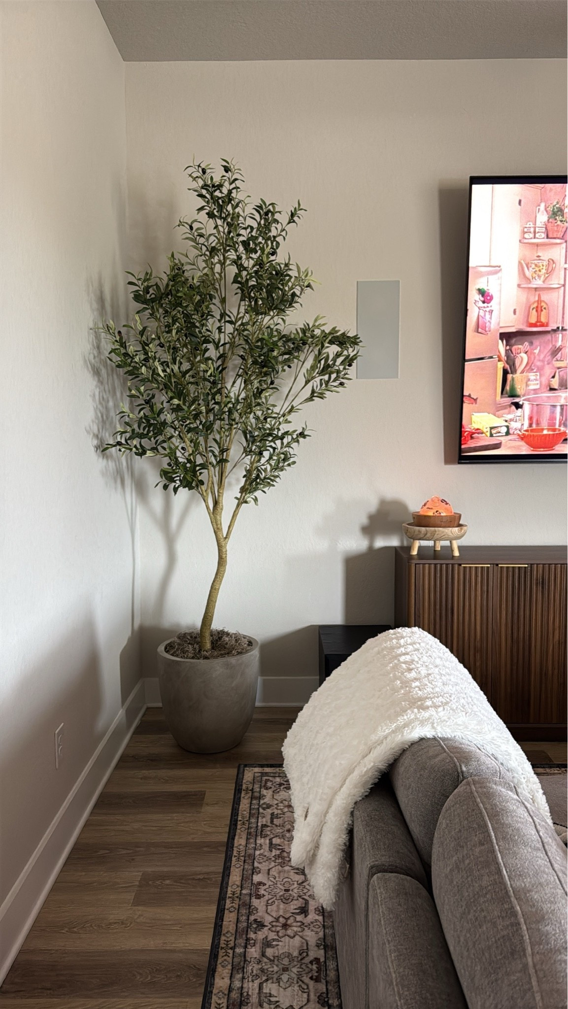 Amazon faux olive tree. I got the 8ft. Planter is the 18”, shade weathered concrete. Diffuser is the Aria diffuser from Young Living. I’ll link the Amazon version as well!

#LTKHome