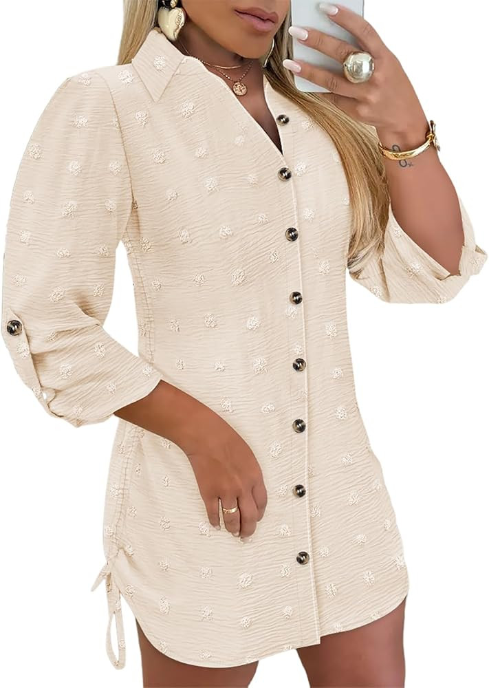 Womens Spring Casual Dress 2025 Swiss Dot Long Sleeve Shirt Dress Casual Button Down Dressy Dress | Amazon (US)