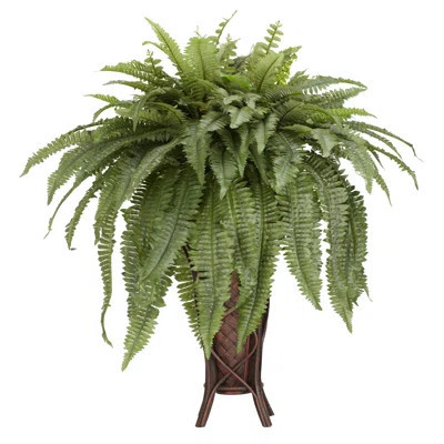16" Fern Plant In Decorative Vase | Wayfair North America