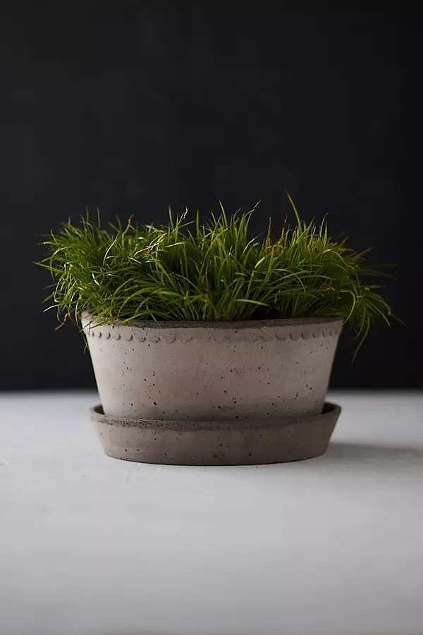 Bergs Helena Terracotta Bowl + Saucer Set | Terrain