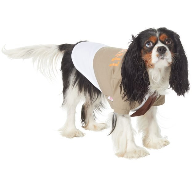 MARVEL 's Loki Varient Dog & Cat Jacket, Small - Chewy.com | Chewy.com