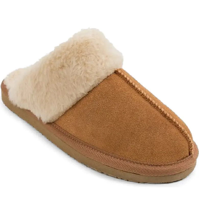 Chesney Mule Slipper | Nordstrom