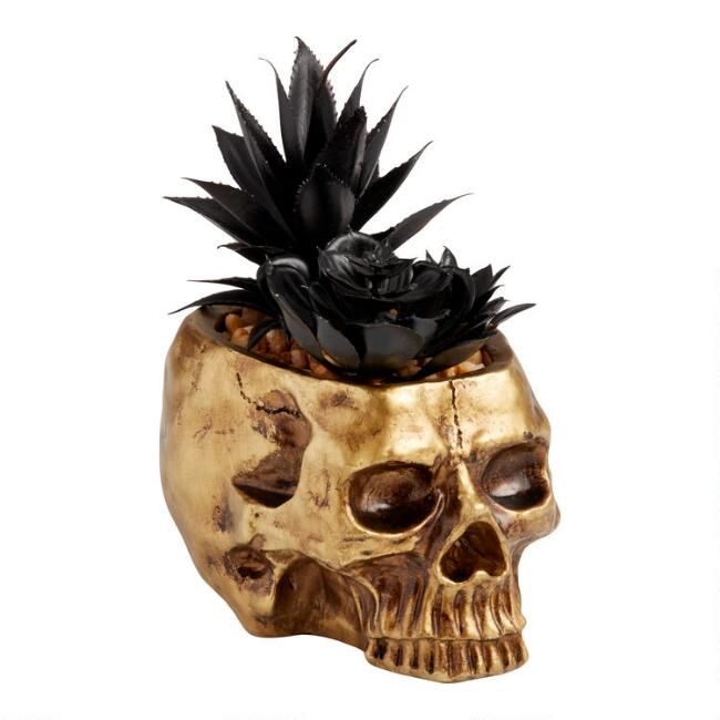 Antique Gold Skull Planter With Black Faux Succulents | World Market