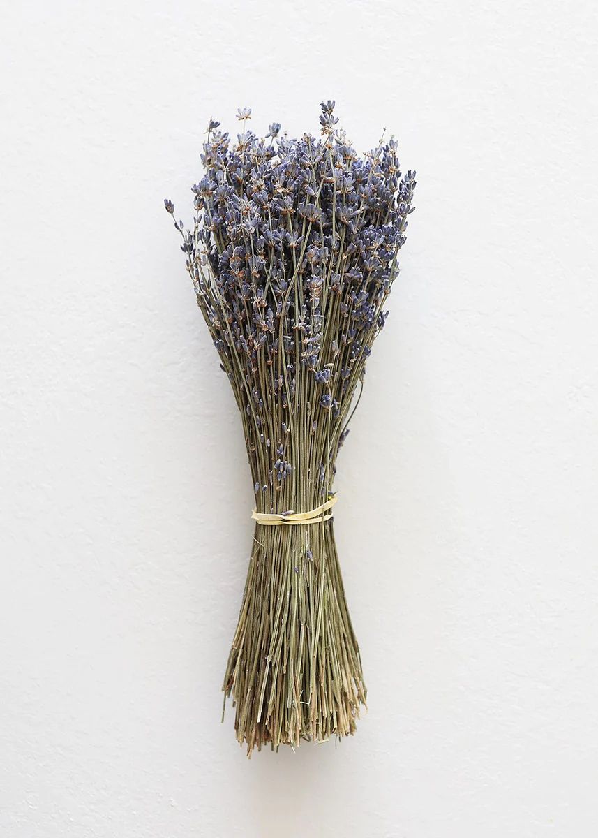 Natural Fragrant Dried Lavender Bundle - 6-14 | Afloral (US)