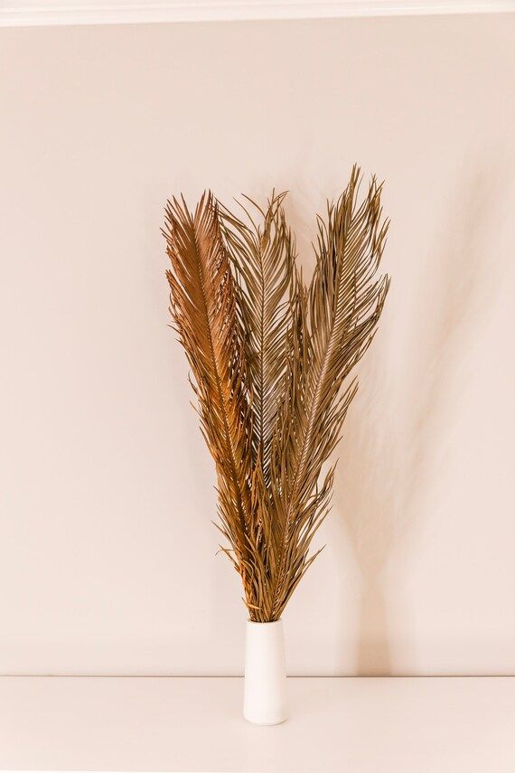 Dried SAGO PALM Leaves  4 feet decor  3pcs for tropical decoration , wedding decor| dried palm dr... | Etsy (US)