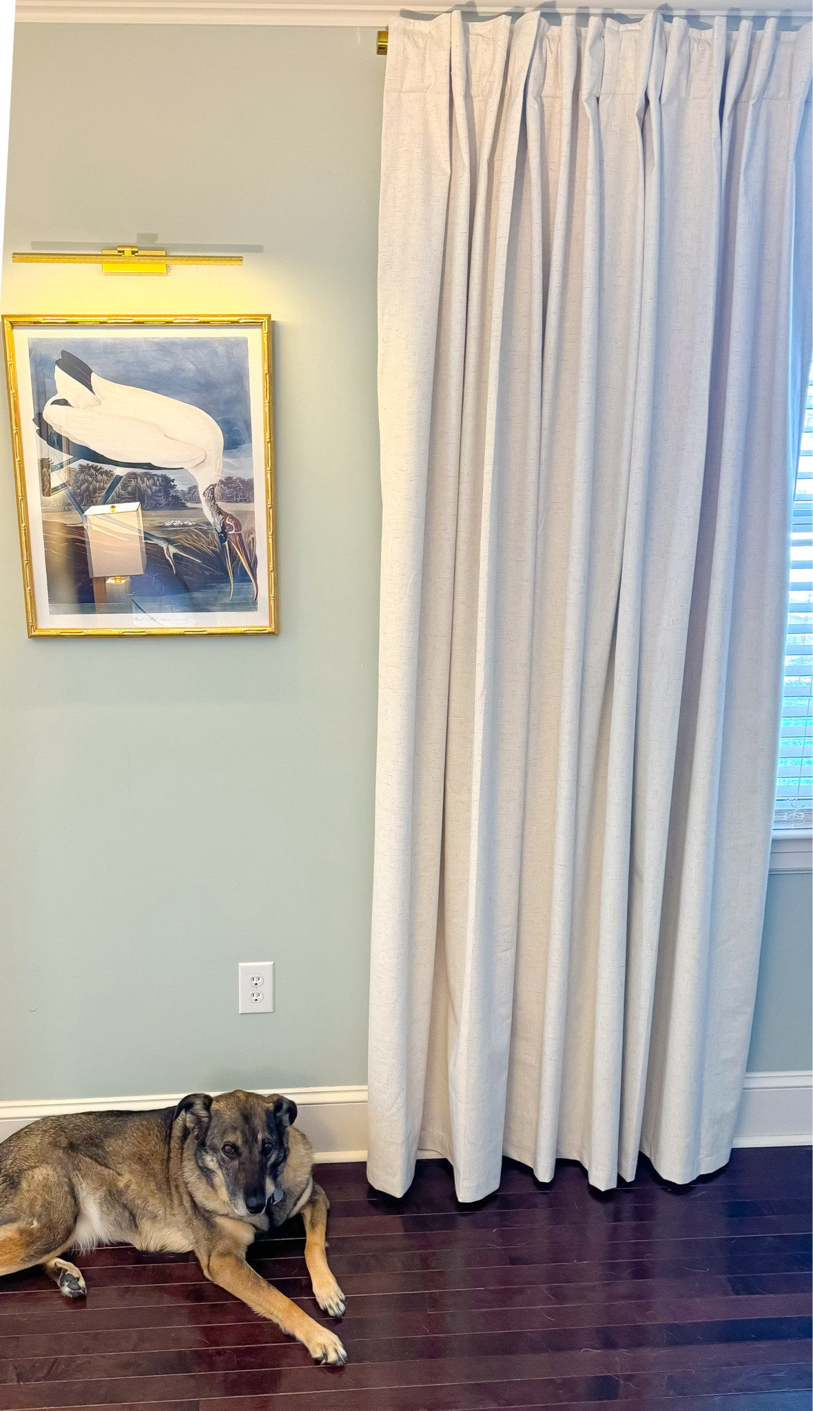 📣PSA: Let’s make 90” curtains a standard length!! 👏🏻👏🏻