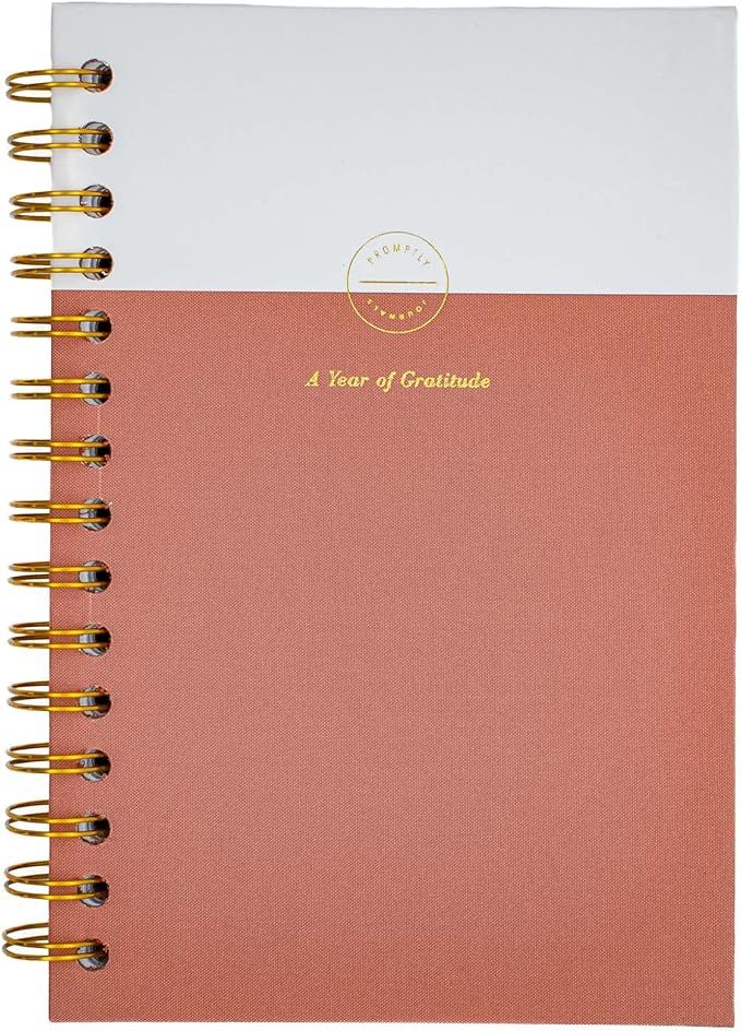Promptly Journals, A Year of Gratitude (Dusty Rose) - Guided Gratitude Journal, Daily Journal Pro... | Amazon (US)