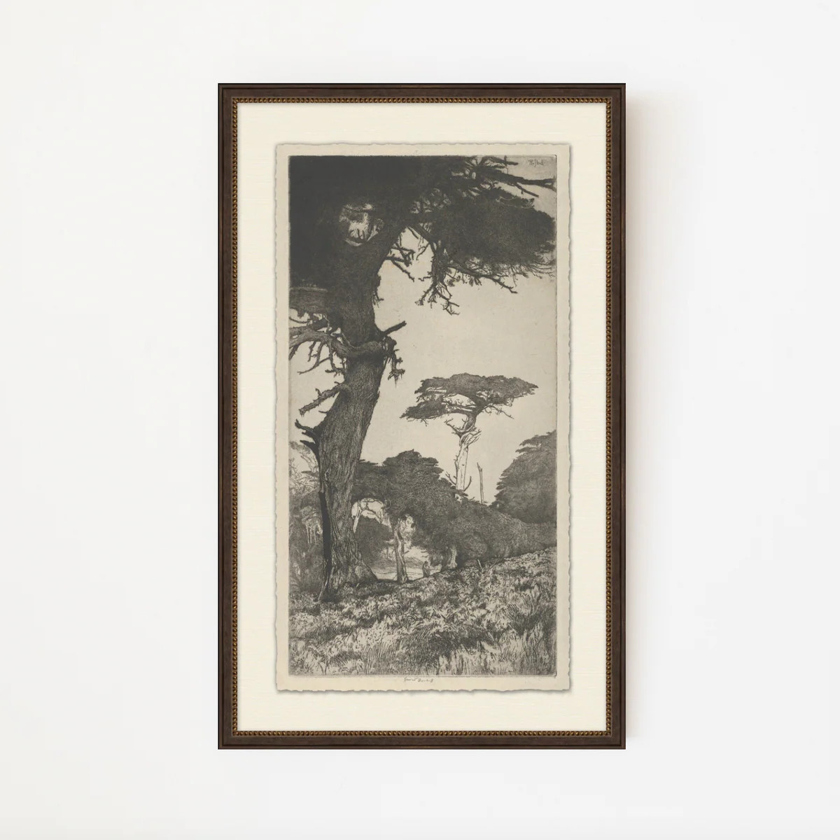 Tree Tops 6 | Stoffer Home