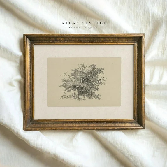 Whimsical Woodland Scene Vintage Tree Art Print Forest Landscape Drawing Tree Sketch Wall Art Far... | Walmart (US)