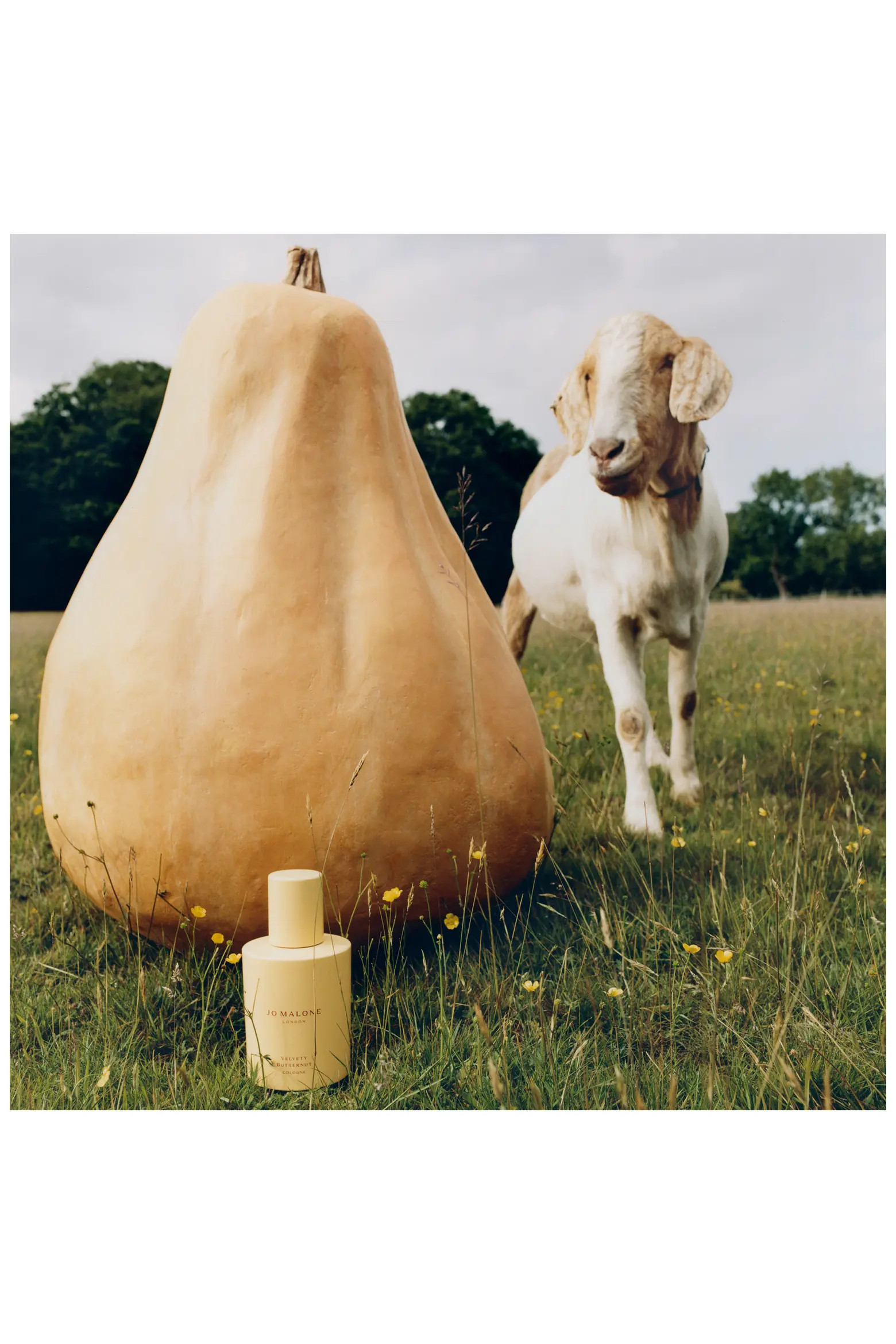 Velvety Butternut Cologne (Nordstrom Exclusive) | Nordstrom | Nordstrom