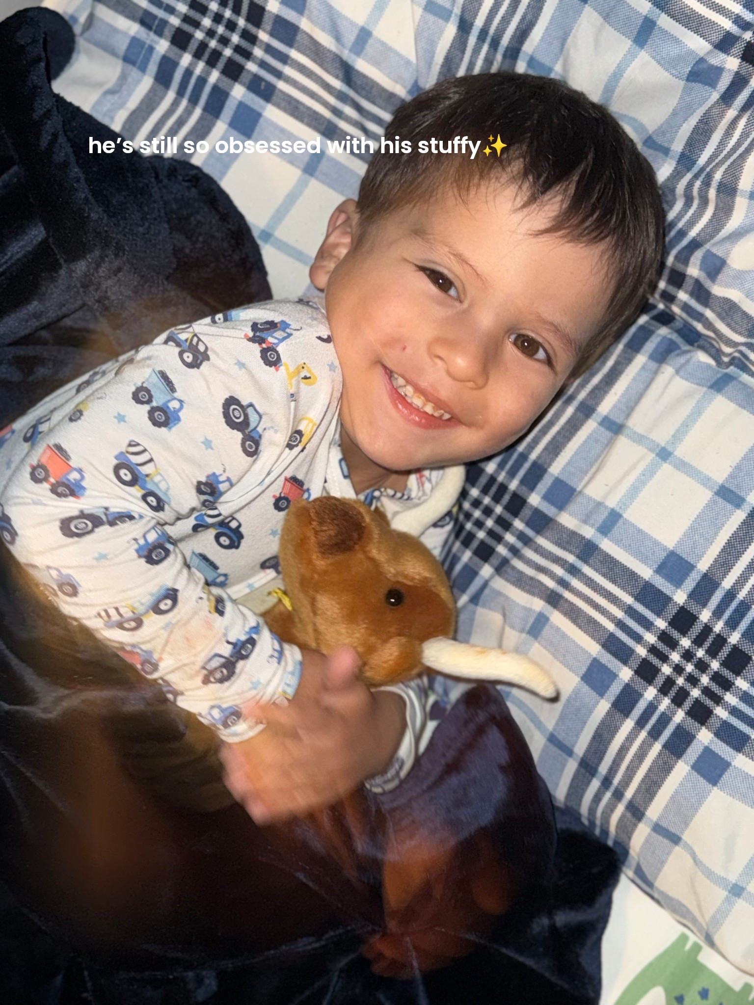 this #tractorsupply stuffy is still being snuggled up with every night, we love it for sure!! i realized i’ve been holding out on you by only linking what the littles got, but i linked the rest for you (+smaller ones too!!) 

which one is your fav? i *love* the moose🫎 and the chicken cracks me up🤣🐓

#LTKKids #LTKFindsUnder50 #LTKFamily