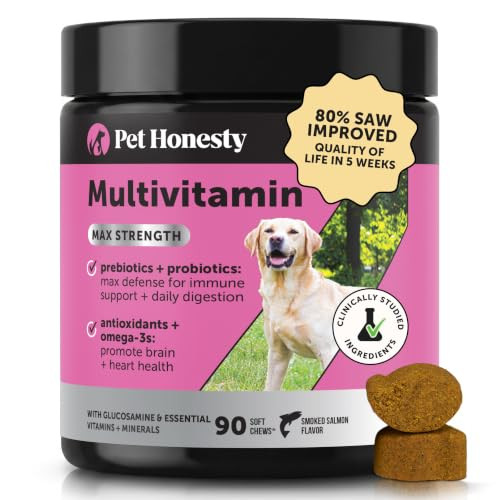 Max Strength Dog Multivitamin with Glucosamine & Probiotics - Advanced 15-in-1 Supplement for Hip & Joint Support, Digestive Health, Immune & Heart Care - High Potency Omega-3 Vitamins (Salmon, 90 Ct) | Amazon (US)
