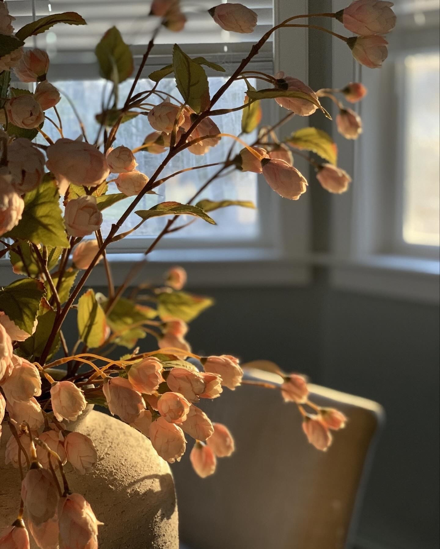 The beauty of these flowers is incredible 

I have had so many compliments from friends and family on these gorgeous stems 

Florals, summer styling, faux florals, summer decor, centerpieces, dining room decor, Michael’s finds, viral florals, neutral home decor, home decor, hobby lobby finds 

Comment SHOP below to receive a DM with the link to shop this post on my LTK ⬇ https://liketk.it/5btvv #ltkhome #ltkseasonal #ltkstyletip 

#springflorals #fauxflowers #springdecor #michaelscraftstore #michaelsstores #springstyle #florals #homestyle #homedecor