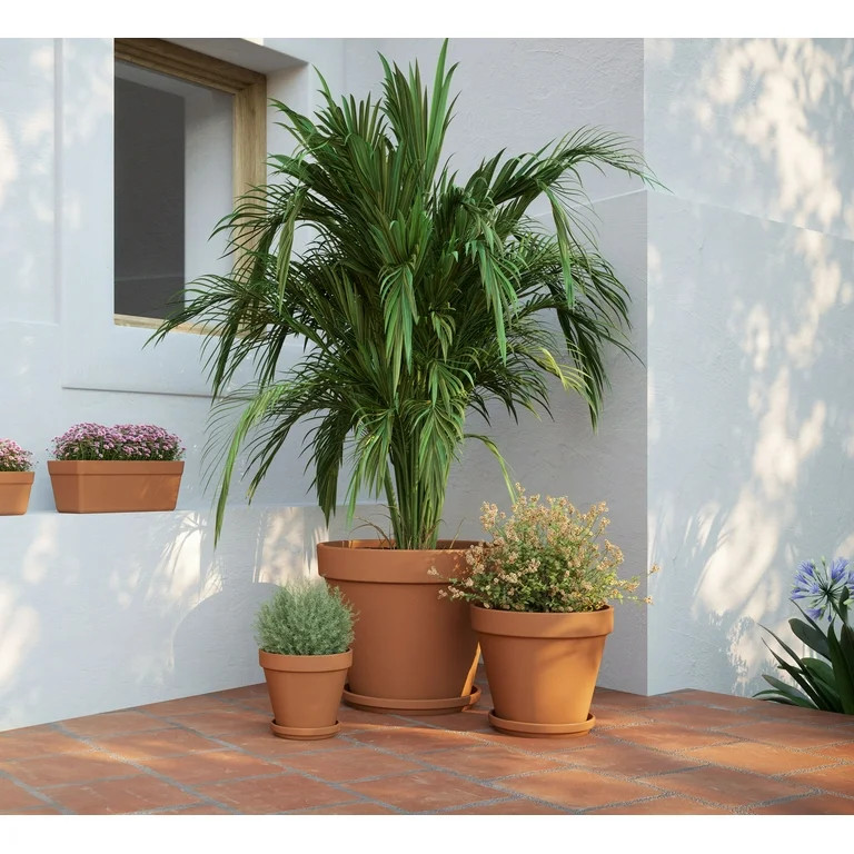 8 Inch Terracotta Clay Pot | Walmart (US)