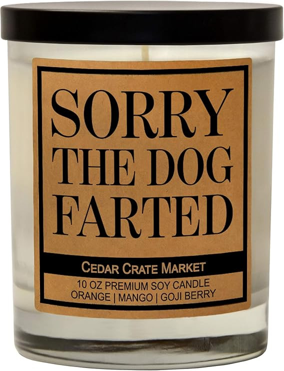 Dog Mom Gifts for Women, Dog Lovers Gifts for Women, Men, Funny Dog Candles for Dog Lovers, Dog C... | Amazon (US)