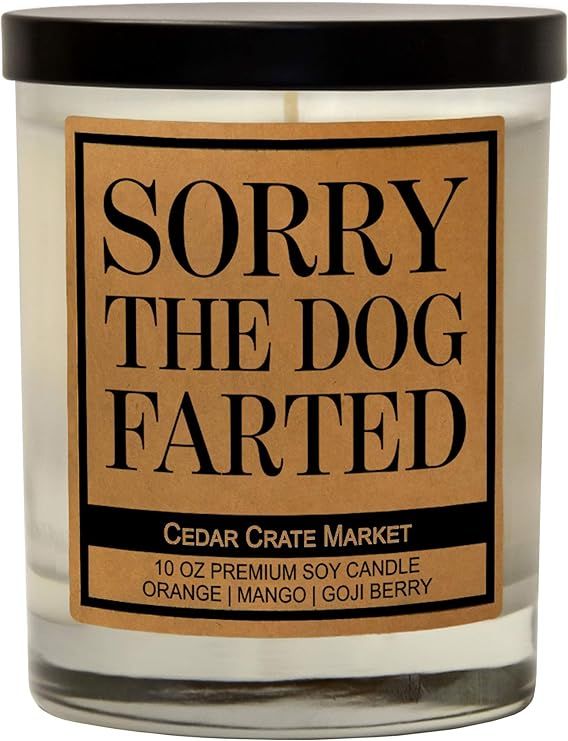 Dog Mom Gifts for Women, Dog Lovers Gifts for Women, Men, Funny Dog Candles for Dog Lovers, Dog C... | Amazon (US)