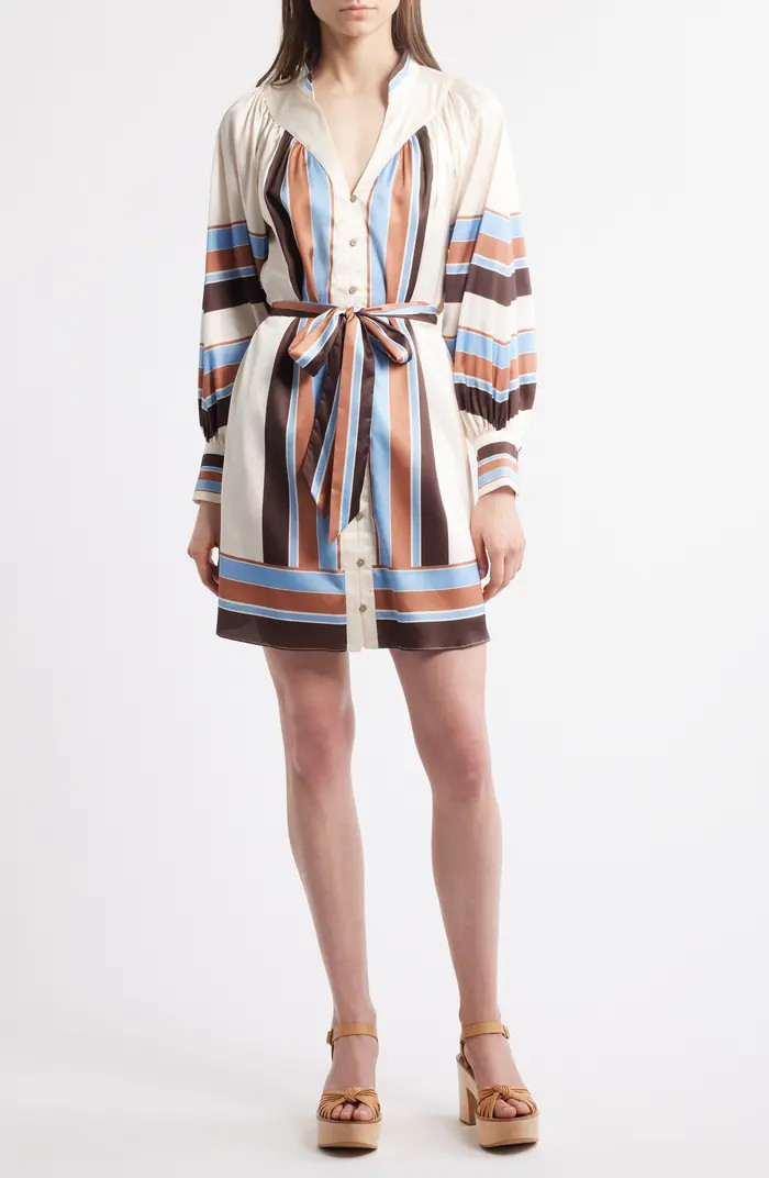 Jessie Stripe Long Sleeve Shirtdress | Nordstrom