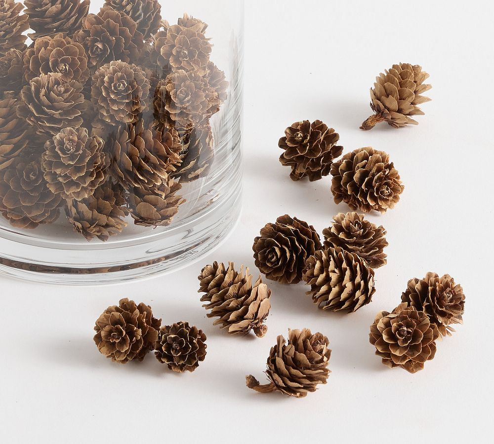 Pinecone Vase Filler | Pottery Barn (US)