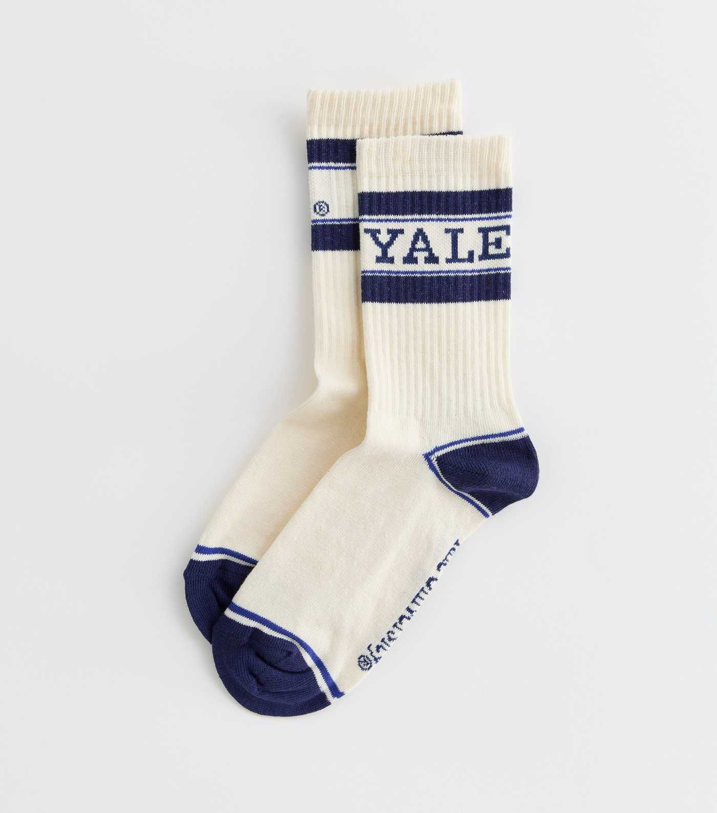Cream Yale University Tube Socks | New Look | New Look (UK)