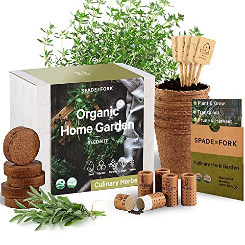 Organic Herb Garden Kit Indoor - Certified Organic & Made in USA | Herb Plants for Women and Men, Indoor Herb Garden Starter Kit, Herb Growing Kit Indoor, Plant Growing Kit, Herb Starter Kit Plant Kit | Amazon (US)