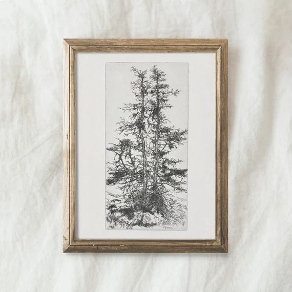 Botanical Sketch Art Printable / Vintage Rustic Drawing / Pine | Etsy | Etsy (US)