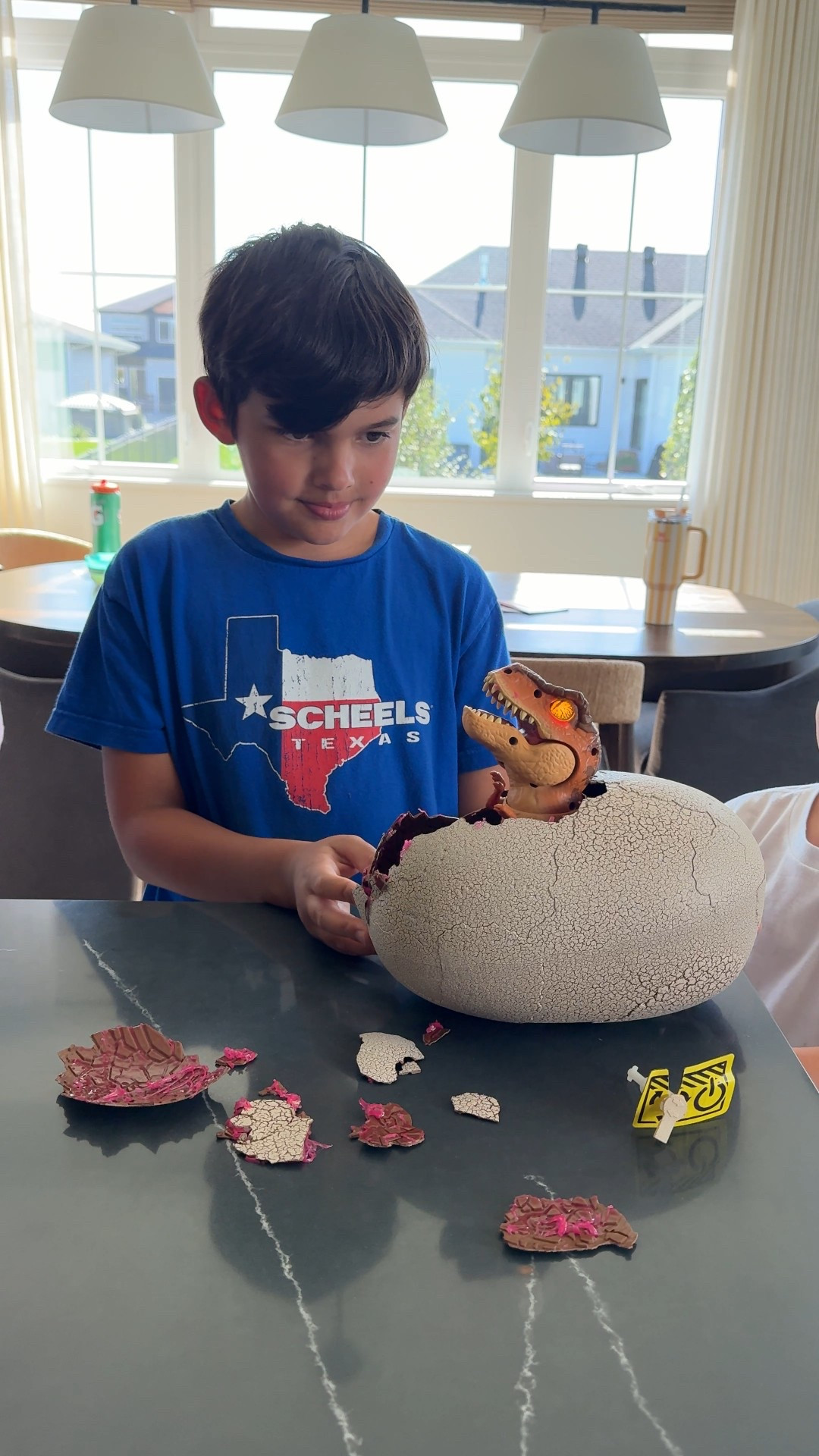 The Jurassic World hatching dinosaur is still available at Walmart! This is one of the hottest toys this year and has sold out on Amazon and target already. Alder got this for his birthday a few months ago and it was so fun to see it hatch! Also linked a few more fun dinosaur toys that would make great gifts for the Dino lover!

#LTKHome #LTKKids #LTKGiftGuide