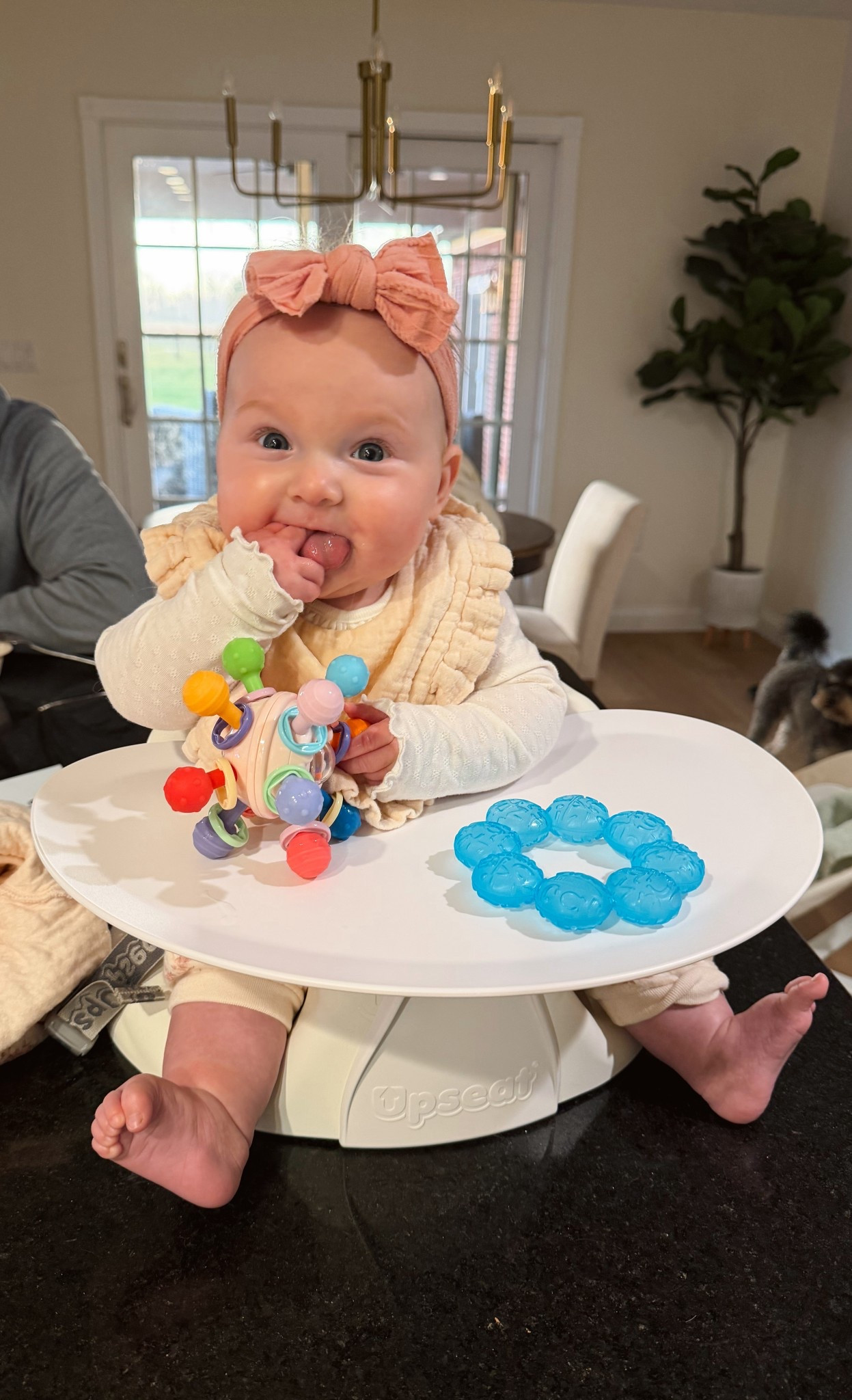 loves her new seat!!! 

#LTKHoliday #LTKBaby #LTKGiftGuide