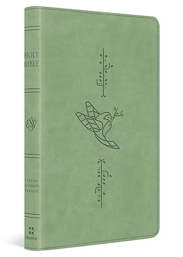 ESV Kid's Bible, Thinline (TruTone, Bird of the Air) | Amazon (US)