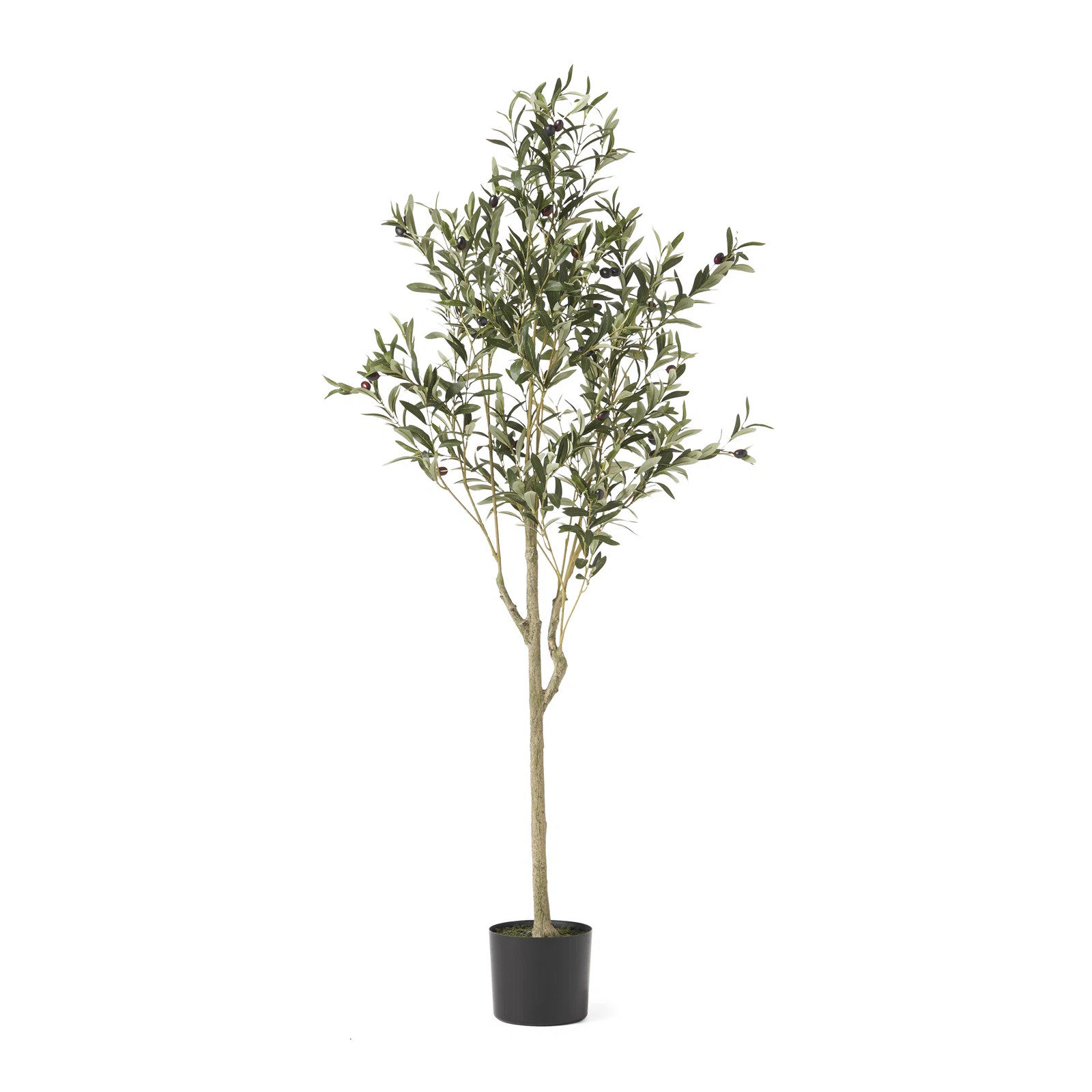 Aarav Artificial Olive Tree in Pot | Wayfair North America