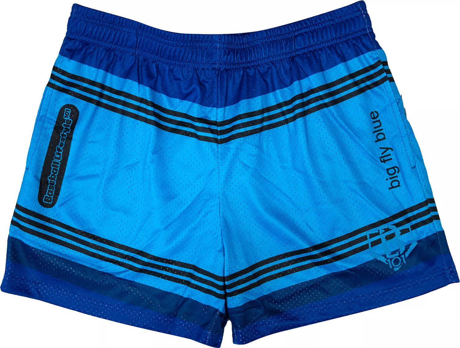 Baseball Lifestyle 101 Boys' 5” Crayon Shorts, XL, Blue | DICK'S Sporting Goods