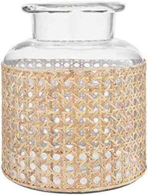 Bloomingville 8" H Glass Decorative Cane Sleeve Vase, Clear | Amazon (US)